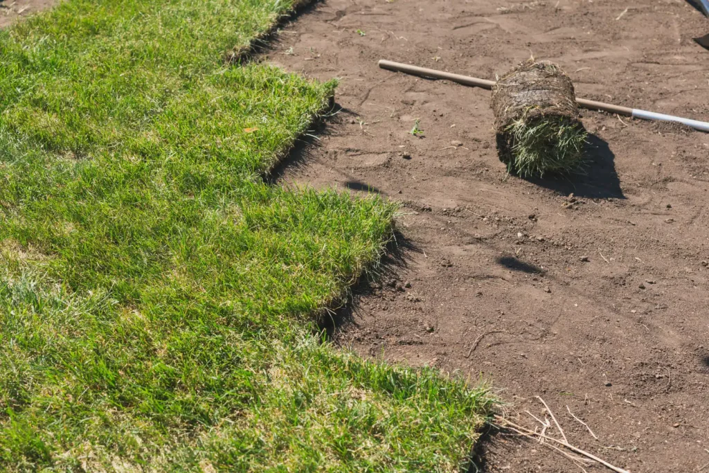 sod installations 3 sod installations 3